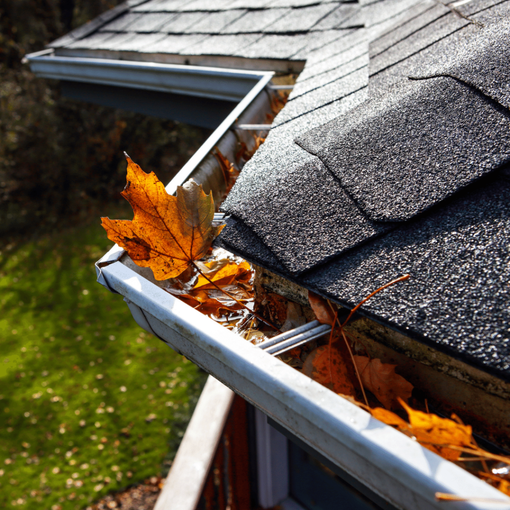 Seasonal Roof Maintenance and Repair in Canada