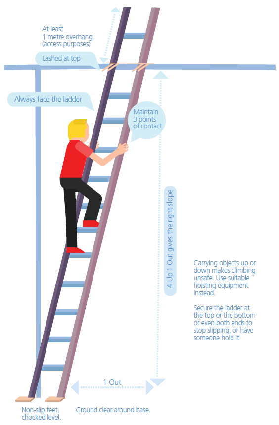 Safe Use of Ladders