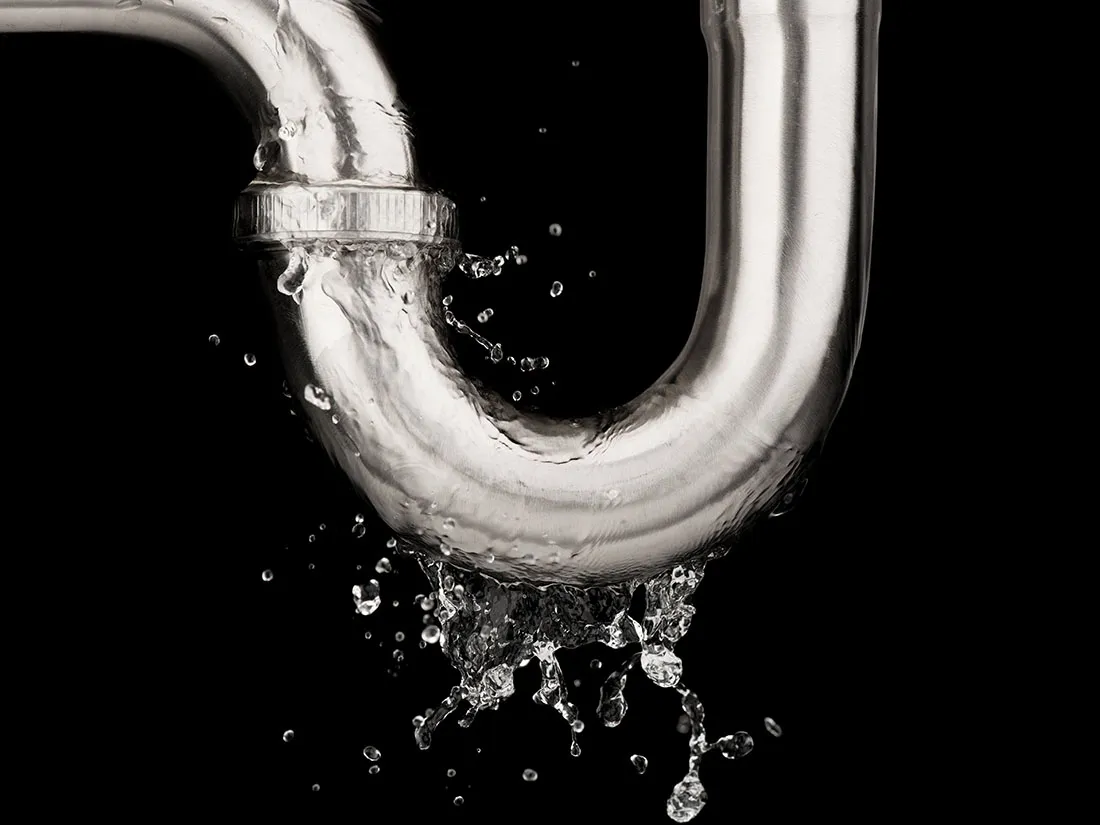 Leak Detection and Repair in Canadian Homes